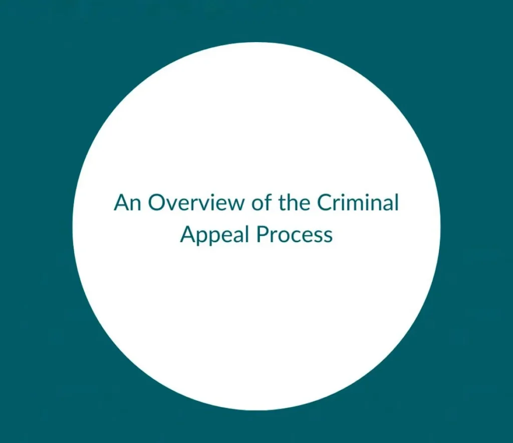 an overview of the criminal appeal process
