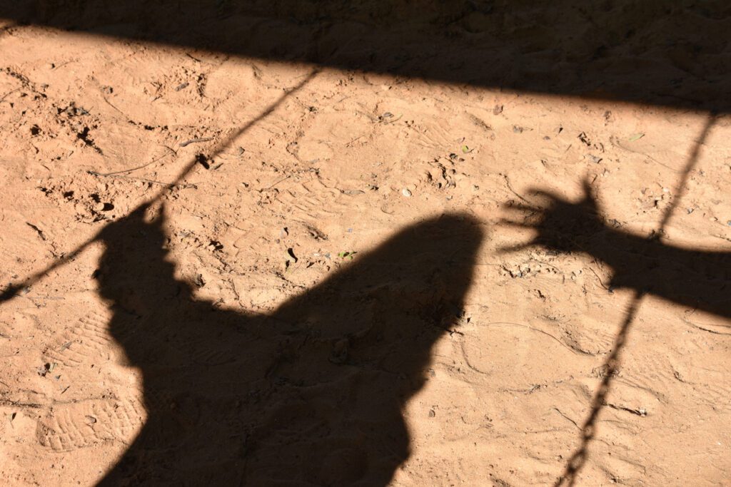 Sexual assault Defence Cases